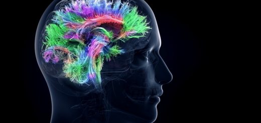 Ученые обнаружили уникальное свойство мозга