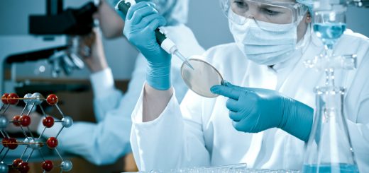 Ученые обнаружили, что скрытые грибковые сети покрывают мир