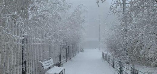 Погодные аномалии становятся нормой в мире