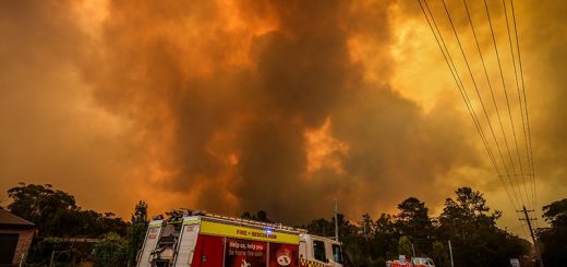Масштабные лесные пожары в Австралии увеличили озоновую дыру